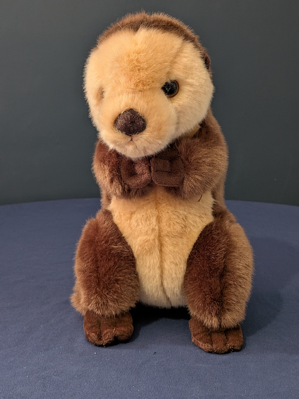 Aurora Miyoni Sea Otter plush Stuffed Animal